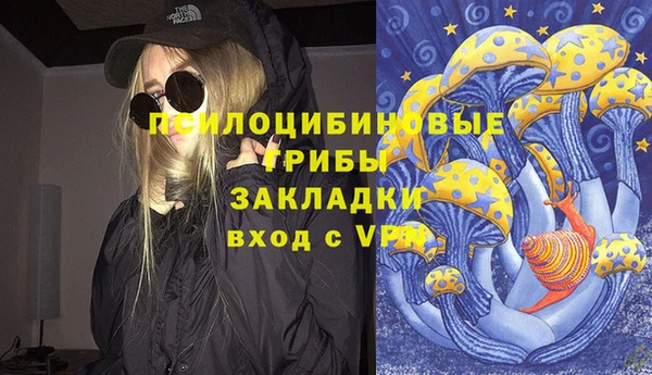 а пвп мука Абаза