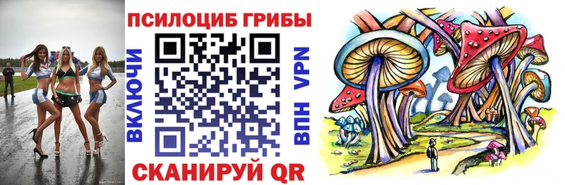 Псилоцибиновые грибы MAGIC MUSHROOMS  Приозерск 
